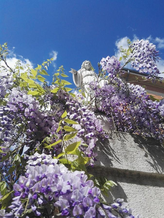 Villa Sacro Cuore San Giovanni Rotondo Kültér fotó