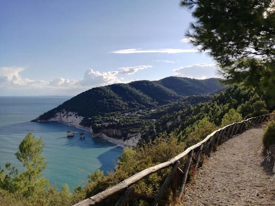 Villa Sacro Cuore San Giovanni Rotondo Kültér fotó